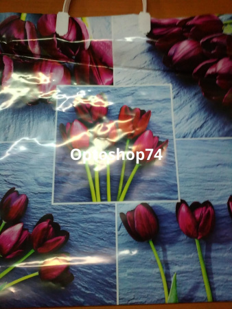 Купить Пакет с пластиковой ручкой 36*37 Коллаж Тюльпаны (ТИКО) 1/100 по цене 14,50 руб.