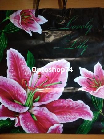 Купить Пакет с пластиковой ручкой 45*39 "Lovely Lily"  по цене 15 руб.
