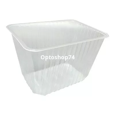 Контейнер 2 л Пермь прямоугольный жесткий